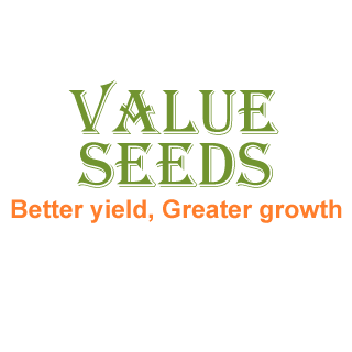Warehouse Manager at Value Seeds Limited