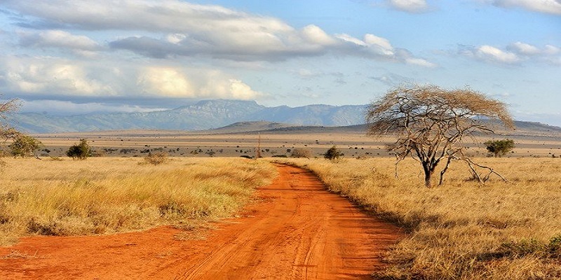 British Ecological Society Grants 2021 for Ecologists in Africa (up to £8,000)