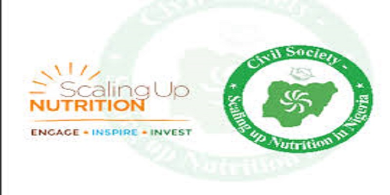 Consultant at the Civil Society-Scaling Up Nutrition in Nigeria (CS-SUNN)