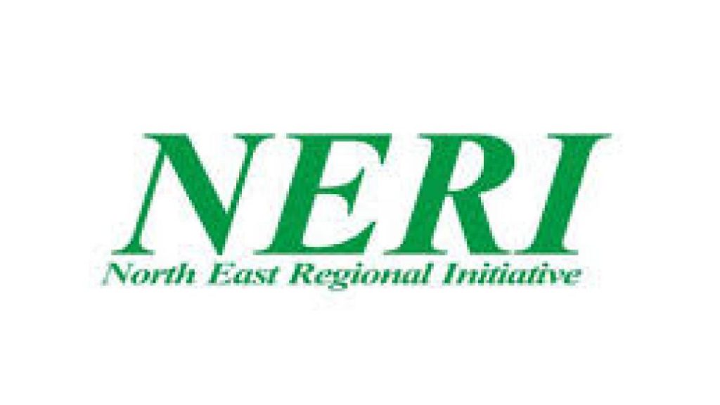 STTA Procurement Expert at North East Regional Initiative (NERI)