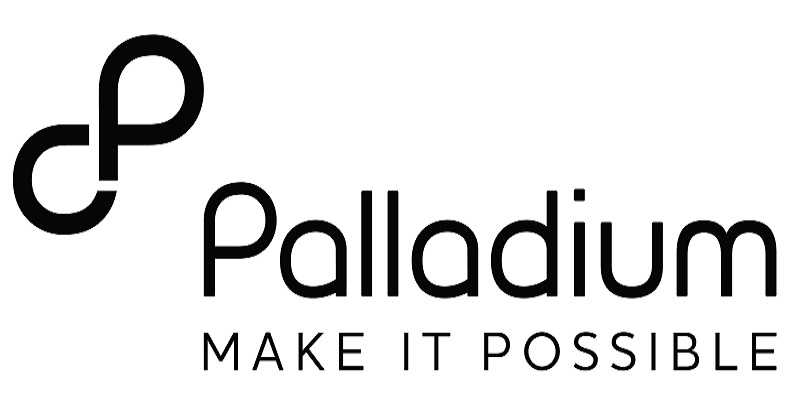 Decent Work Advisor (Consultancy) at Palladium Group