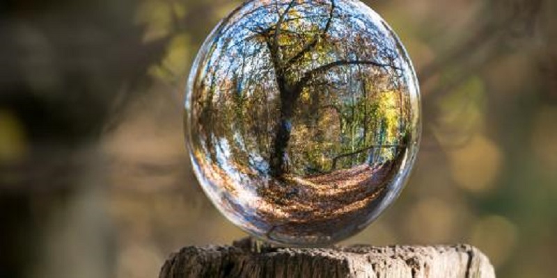 AFD-GDN Biodiversity and Development Award Program 2021 ($40,000 Individual Research Grants)