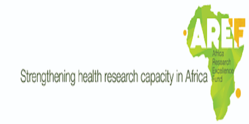 The Africa Research Excellence Fund (AREF) Research Development Fellowship Programme 2023/2024