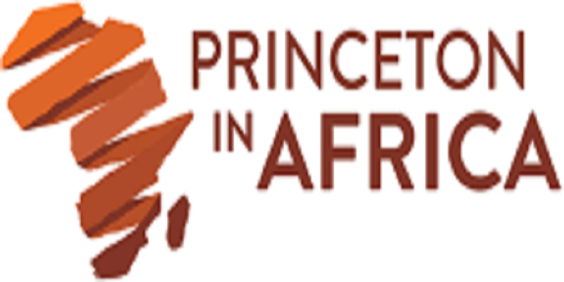 Princeton in Africa Fellowship 2024/2025 for young African Professionals.