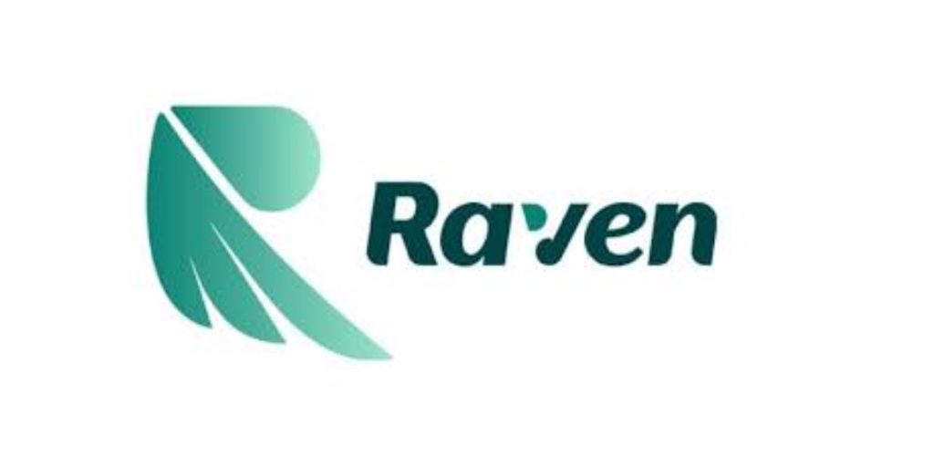 Direct Sales Agent at Ravenpay Limited